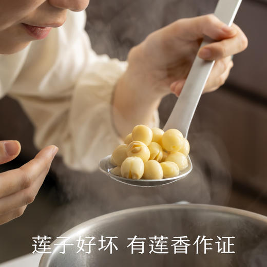 南食召 干莲子 商品图1
