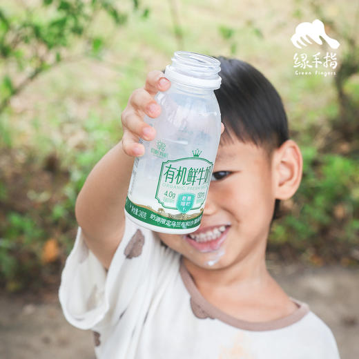 有机鲜牛奶/酸奶（预售，按订单来生产，满6瓶包邮） | 公平贸易*Organic fresh milk Fair Trade Items 商品图3