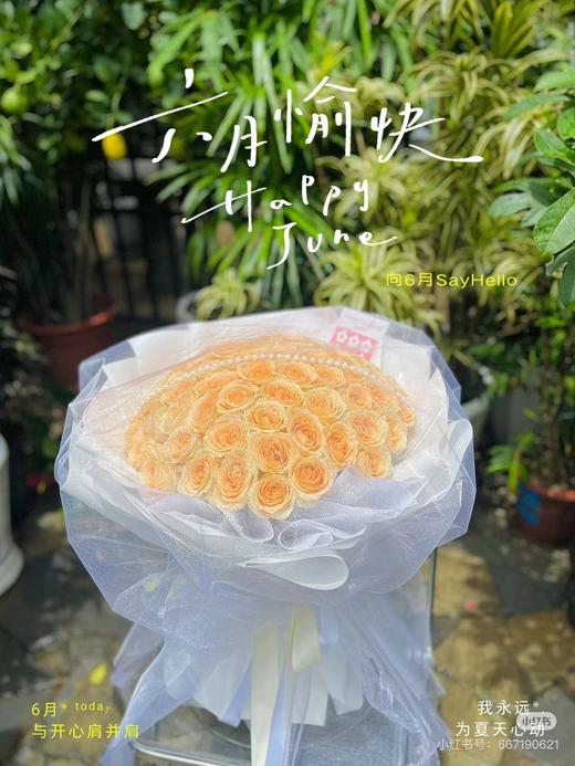 66枝玫瑰花束 商品图3