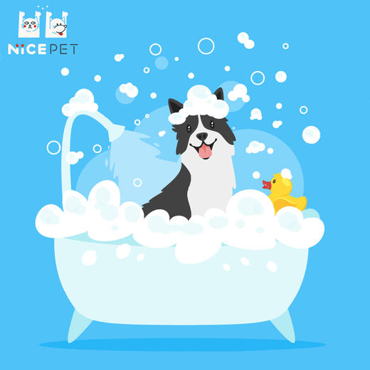 Nice Pet狗狗缓压专业深护 商品图0