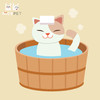 Nice Pet猫猫缓压经典洗护 商品缩略图0