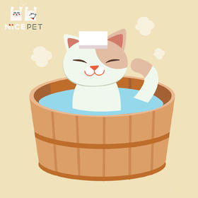 Nice Pet猫猫缓压经典洗护