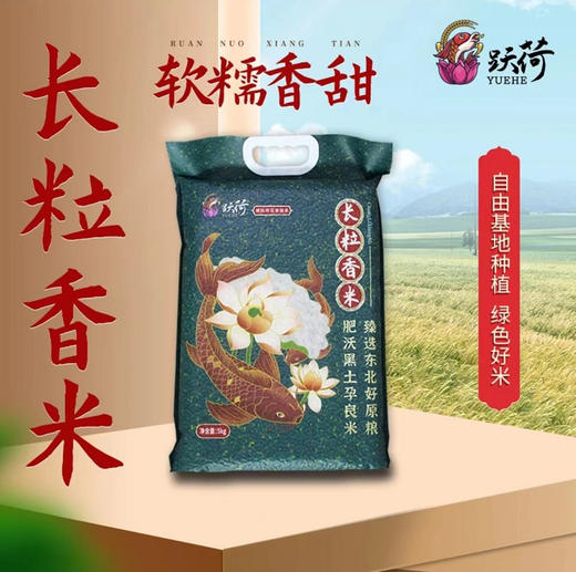 跃荷 长粒香米 商品图0