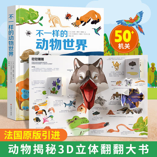 【青葫芦】【法国引进】耕林童书馆：好多好多的交通工具儿童3d立体翻翻机关书城市飞机宇宙地球大工地运转的秘密 商品图8