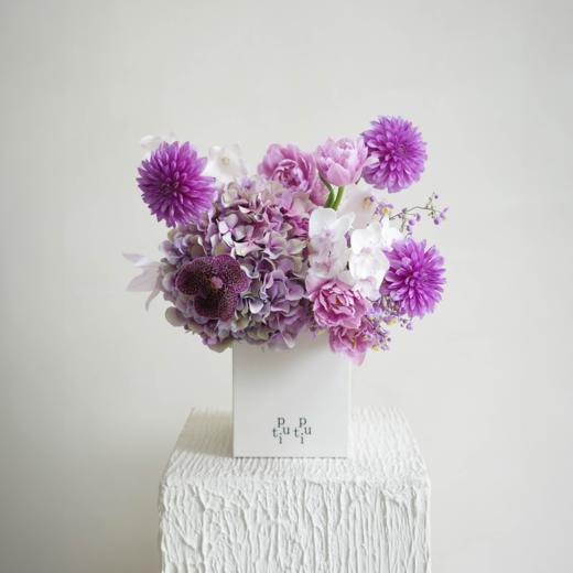 梦底伴奏 Dream Concerto 商品图5