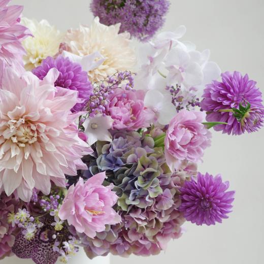 梦底伴奏 Dream Concerto 商品图2