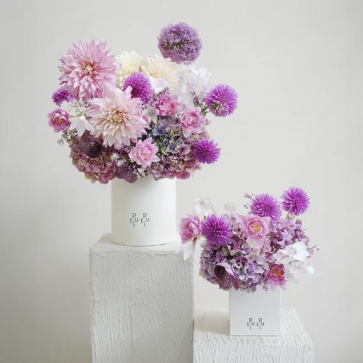 梦底伴奏 Dream Concerto 商品图1