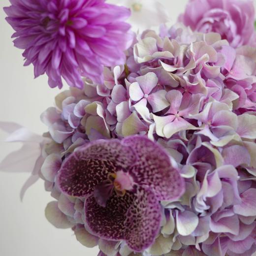 梦底伴奏 Dream Concerto 商品图8