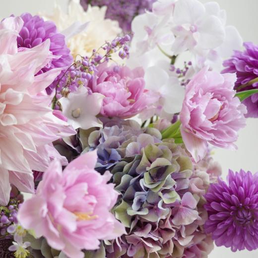 梦底伴奏 Dream Concerto 商品图3