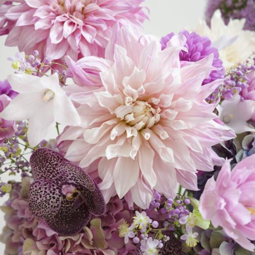 梦底伴奏 Dream Concerto 商品图4