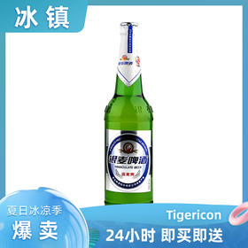 青岛银麦超爽8度  黄啤酒  500ml/瓶 即买即送