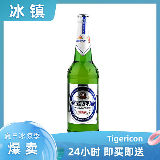 青岛银麦超爽8度  黄啤酒  500ml/瓶 即买即送 商品图0