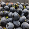 云南蓝莓125g 商品缩略图4