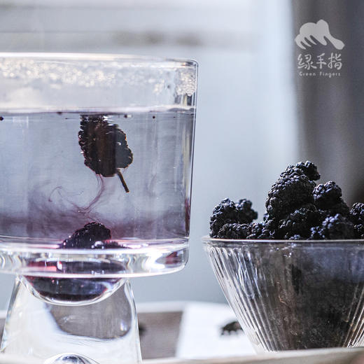 生态桑葚干（攀枝花桑葚） | 绿家自产*Eco-dried mulberries | In-House Production 商品图2