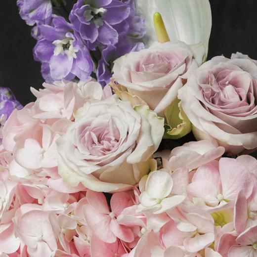 慵懒梦幻 Dreamlike Laziness 商品图1