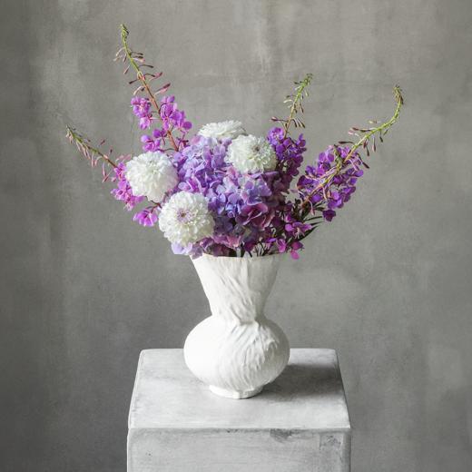 凝视 Gaze 商品图0