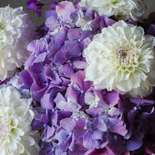 凝视 Gaze 商品图1