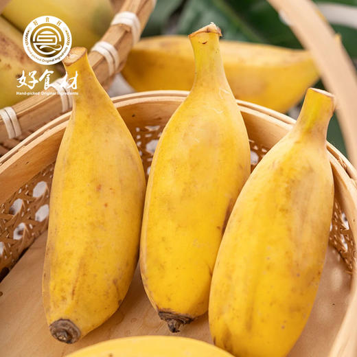 CY-苹果蕉 商品图2