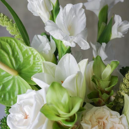 珍珠与翡翠 Pearl White & Emerald Green 商品图2