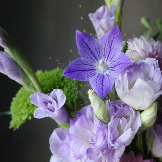 紫晶与云母 Lavender 商品图1