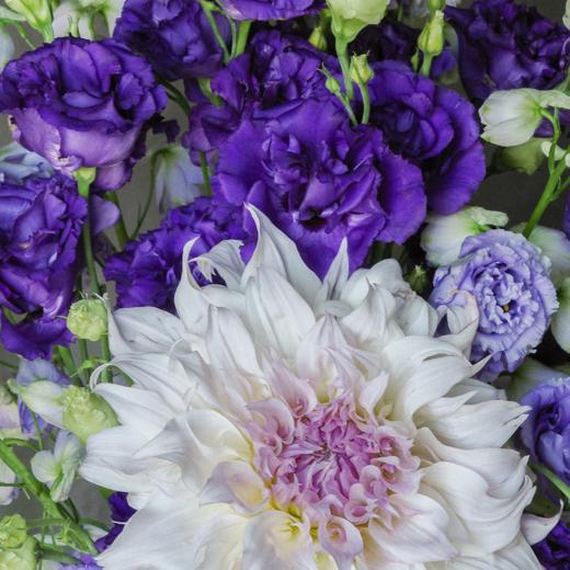 逐梦 Persue 商品图1