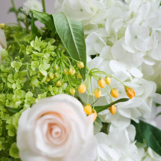 清新四野 Wilderness 商品图1