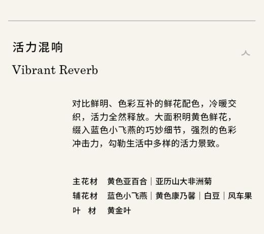 活力混响 Vibrant Reverb 商品图2