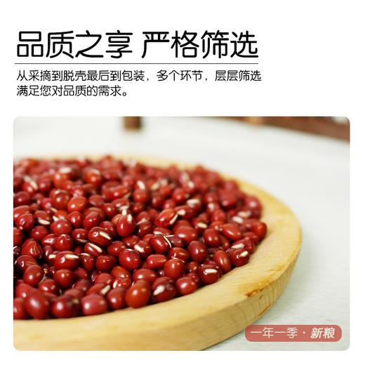 【有机红小豆】红豆东北新豆|全胚芽发芽豆|有机种植不使用农药|醇香出沙|红豆杂粮粥 商品图3