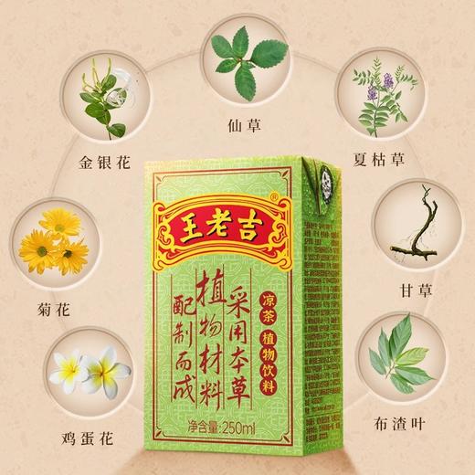 【十堰主城区包邮】王老吉凉茶植物饮料（绿盒） 250ml*24/提 商品图1