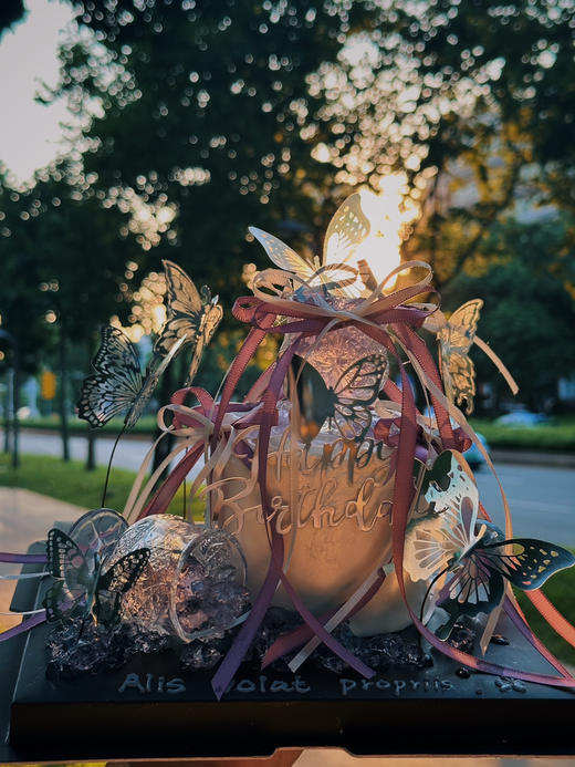 蝶光萦绕 商品图5