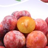 新鲜水果 香甜软糯西梅  500g 商品缩略图2