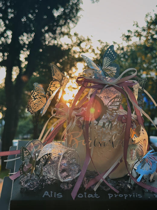 蝶光萦绕 商品图6