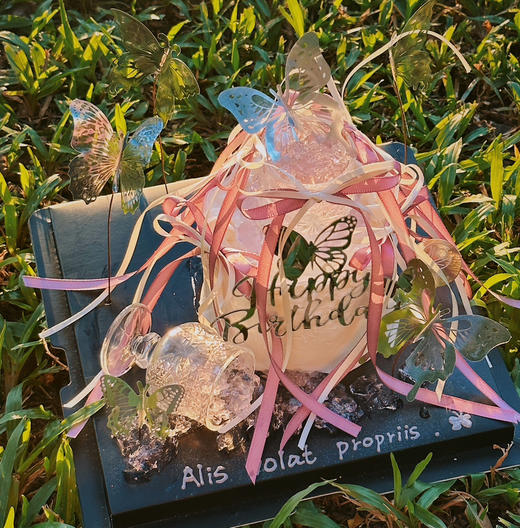 蝶光萦绕 商品图1