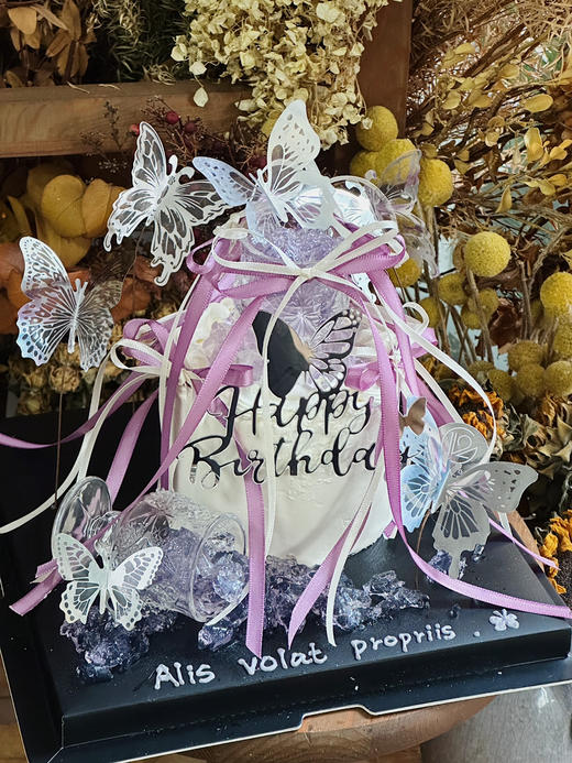 蝶光萦绕 商品图7