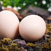 绿次方富硒可生食鲜鸡蛋 （30枚)1.4kg 商品缩略图5