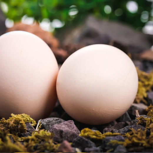 绿次方富硒可生食鲜鸡蛋 （30枚)1.4kg 商品图5