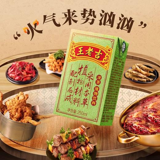 【十堰主城区包邮】王老吉凉茶植物饮料（绿盒） 250ml*24/提 商品图3