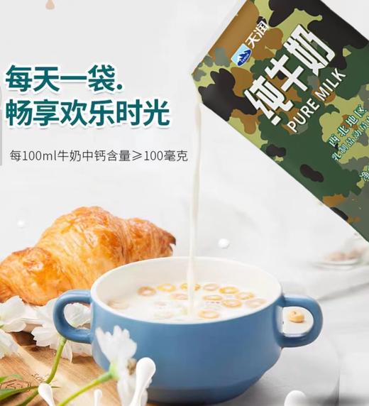 天润迷彩无菌枕200克/袋*20，新疆奶制品美食特产营养早餐 商品图2