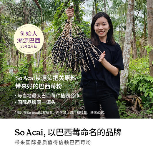 Soacai巴西莓粉 100g 商品图2