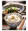 小蓝芽碗盘子日式餐具日本光峰瓷器家用陶瓷碗饭碗面碗汤碗 商品缩略图3