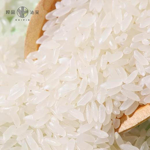 【新米上市】粹品沁采五常大米5kg/袋（GB/T19266） 商品图1