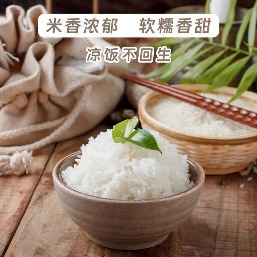 【新米上市】粹品沁采五常大米5kg/袋（GB/T19266） 商品图2