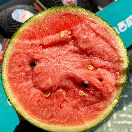 【酥脆爽口】小吊西瓜 约1800g/个 商品图3