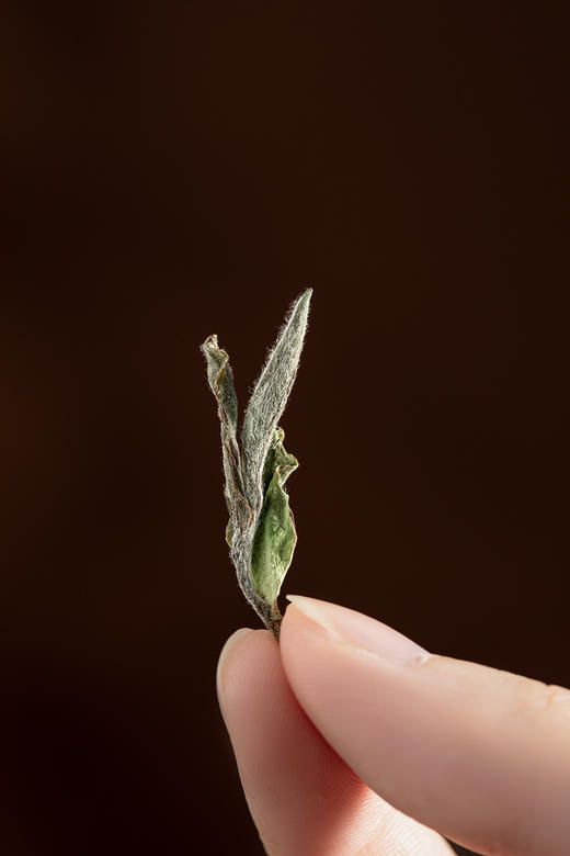 名山典藏·白牡丹2024·礼盒装80g(5g*2*8) 商品图4