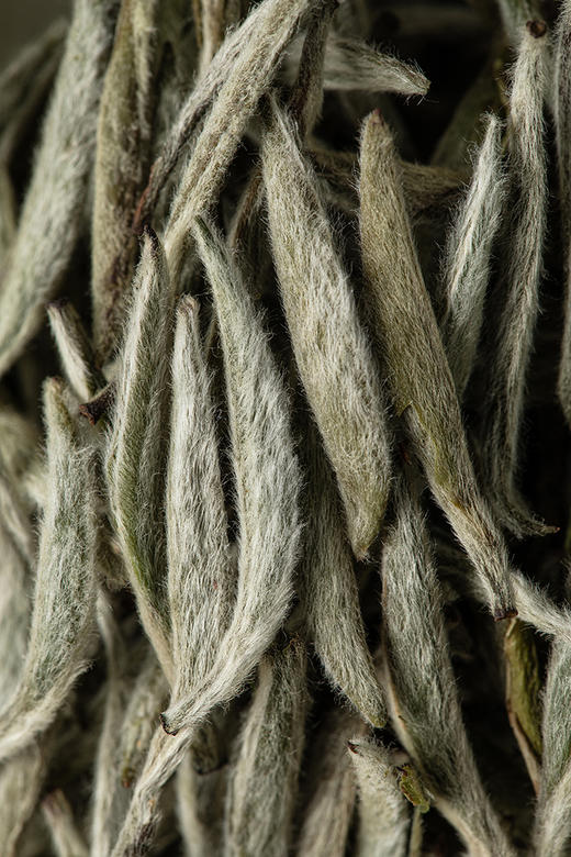 名山典藏·白毫银针2024·礼盒装80g(5g*2*8) 商品图9