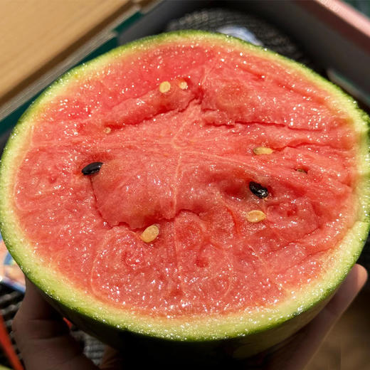 【酥脆爽口】小吊西瓜 约1800g/个 商品图2