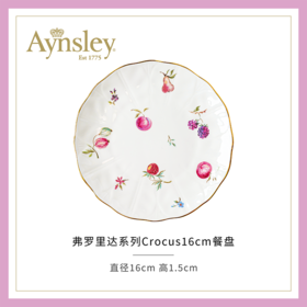 英国Aynsley安斯丽弗罗里达Florida系列骨瓷咖啡杯碟下午茶茶具餐具