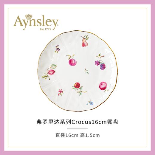 英国Aynsley安斯丽弗罗里达Florida系列骨瓷咖啡杯碟下午茶茶具餐具 商品图0