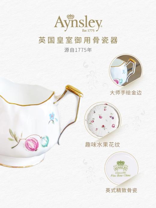 英国Aynsley安斯丽弗罗里达Florida系列骨瓷咖啡杯碟下午茶茶具餐具 商品图6
