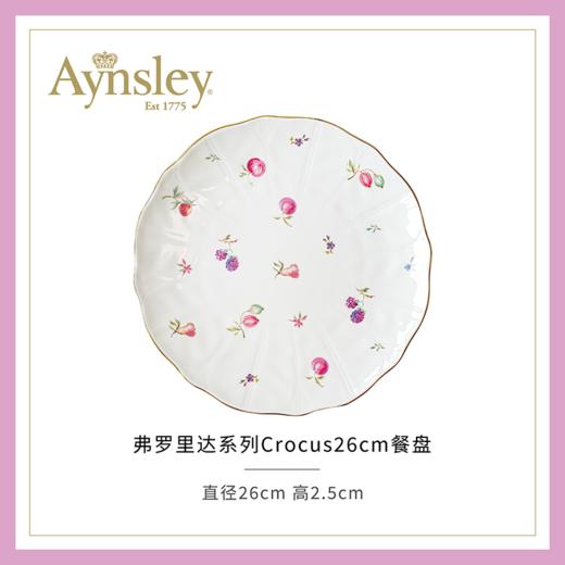 英国Aynsley安斯丽弗罗里达Florida系列骨瓷咖啡杯碟下午茶茶具餐具 商品图2
